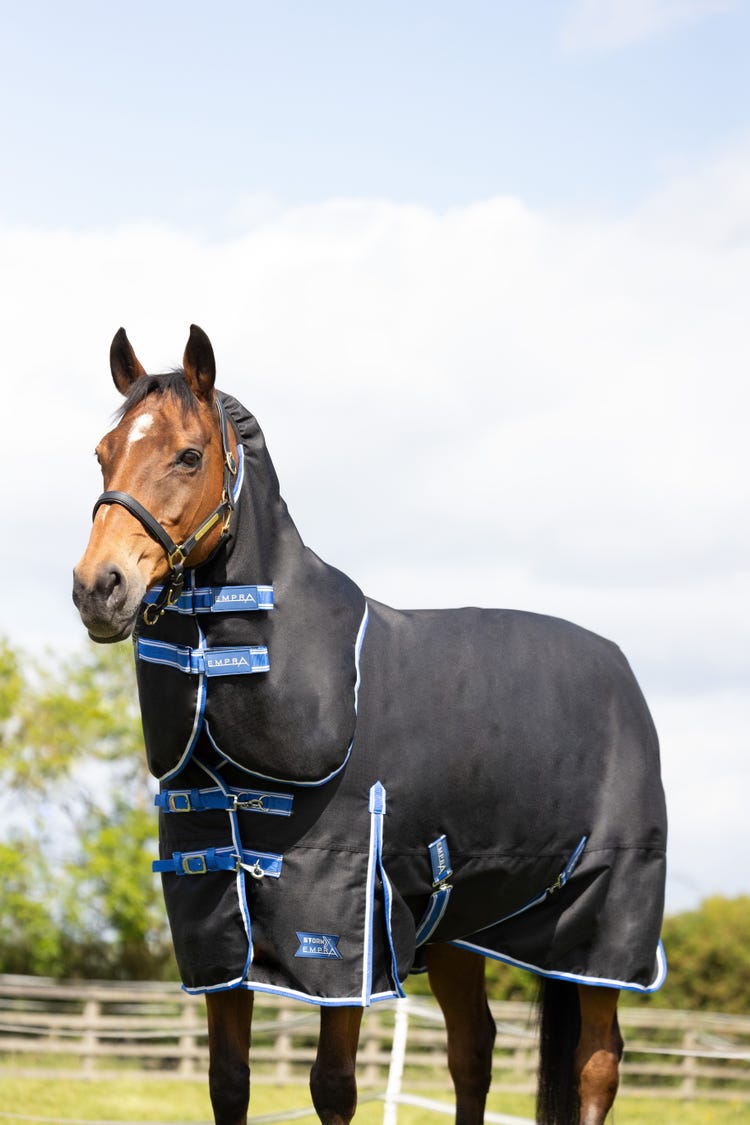 StormX Empra Extra 200g Turnout Rug with Detachable Neck image 8